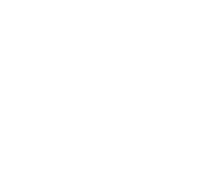 logo blanc hugo falinower