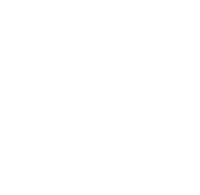 logo Chirurgiens vasculaires pyrénnées